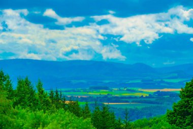 Hokkaido Furano düzlüğü. Çekim Konumu: Hokkaido Furano