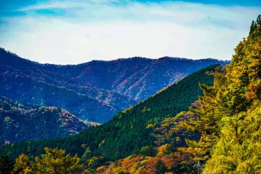 Okaw 4000 sonbahar yaprağı. Atış yeri: Gunma Bölgesi