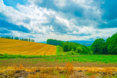Hokkaido Furano düzlüğü. Çekim Konumu: Hokkaido Furano