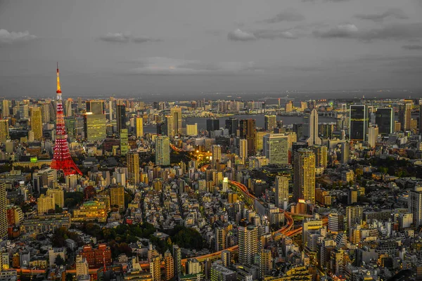 Tokyo Tower Tokyo Tower Shooting Location Tokyo Metropolitan Area — Stock Photo, Image