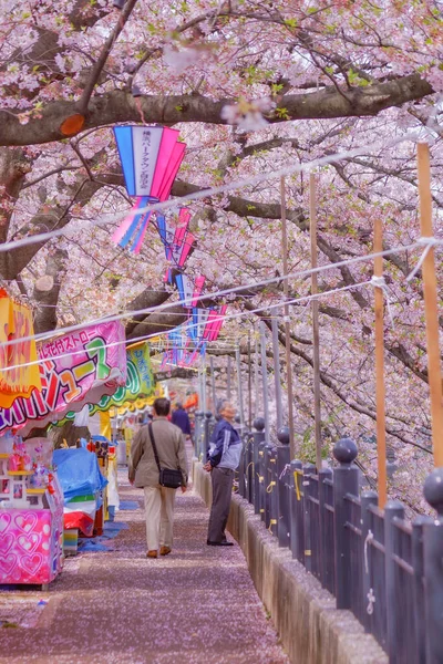 Ookigawa Promenade Spring Drehort Minami Ward Der Stadt Yokohama — Stockfoto