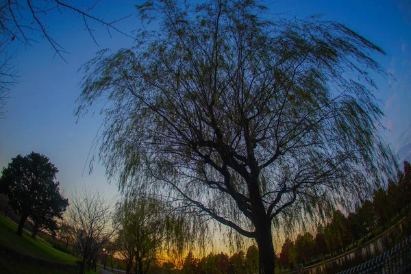 Hizmetçinin Günbatımı Manzarası Çekim Yeri Adachi Tokyo — Stok fotoğraf