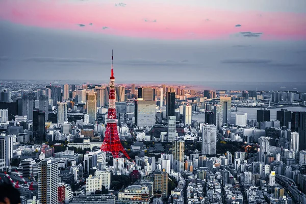 Wieża Tokio Wieża Tokyo Strzelanie Lokalizacja Tokio Metropolii — Zdjęcie stockowe