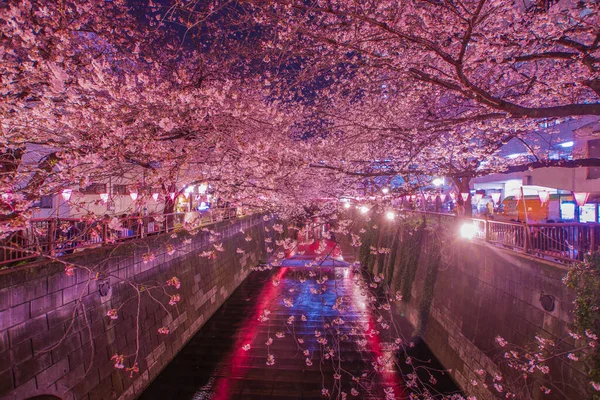 Meguro River Night Sakura Nakameguro Schietplaats Tokio Meguro — Stockfoto