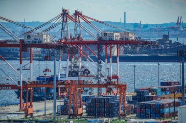 Keihin Endüstrisindeki bitki grubu. Çekim yeri: Kawasaki Şehri, Kanagawa Bölgesi