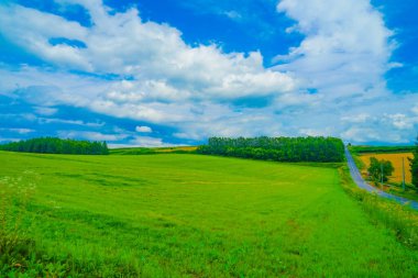 Hokkaido Furano düzlüğü. Çekim Konumu: Hokkaido Furano