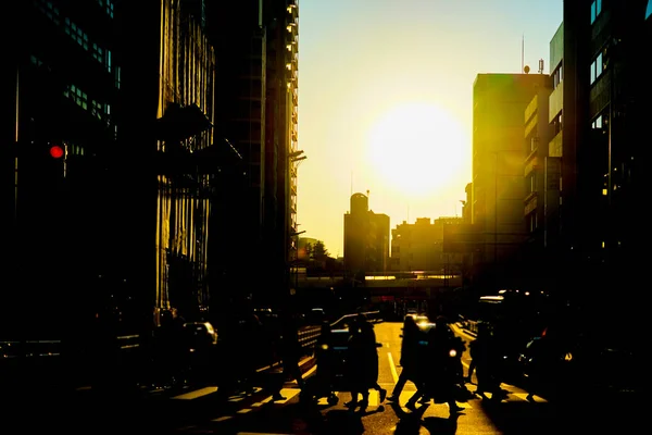 Sonnenuntergang Minato Ward Tokio Drehort Minato Tokio — Stockfoto