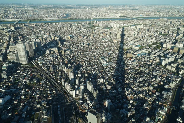 Tokio Hemelboom Schaduw Schietplaats Sumida Ward Tokio — Stockfoto