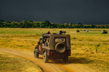 Minneria Ulusal Parkı 'nda Jeep Safari (Sri Lanka). Çekim Konumu: Sri Lanka