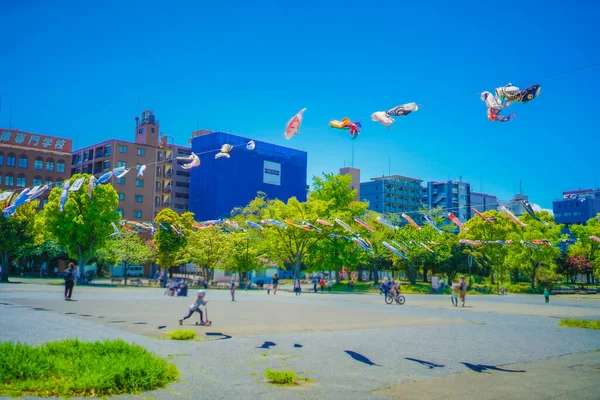 Mayburi Från Maj Motomachi Park Skytte Plats Yokohama City Kanagawa — Stockfoto