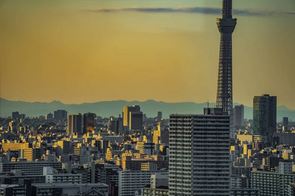 Tokyo Sky Tree Och Sunset Sky Plats För Fotografering Sumida — Stockfoto