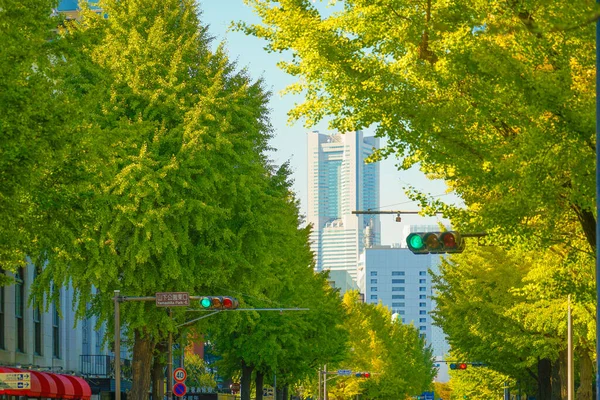 Yokohama Şehir Kulesi Sonbahar Yaprakları Çekim Yeri Yokohama Şehri Naka — Stok fotoğraf