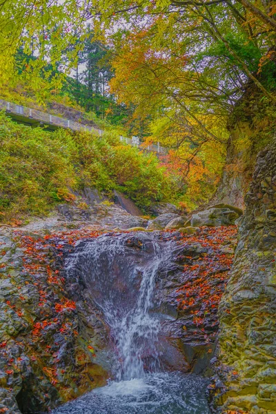 Forty Million Holes Autumn Leaves Shooting Location Gunma Prefecture — Foto de Stock