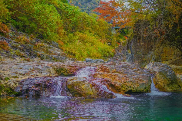 Forty Million Holes Autumn Leaves Shooting Location Gunma Prefecture — стоковое фото