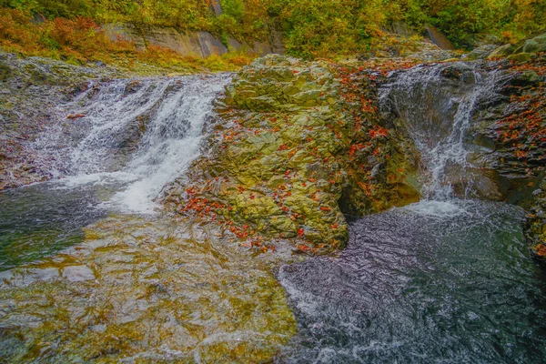 Миллионов Лунок Осенних Листьев Место Стрельбы Префектура Гумма — стоковое фото