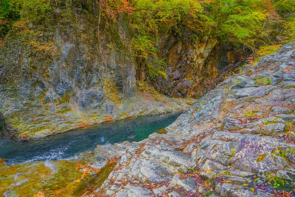 Forty Million Holes Autumn Leaves Shooting Location Gunma Prefecture — Stock Fotó