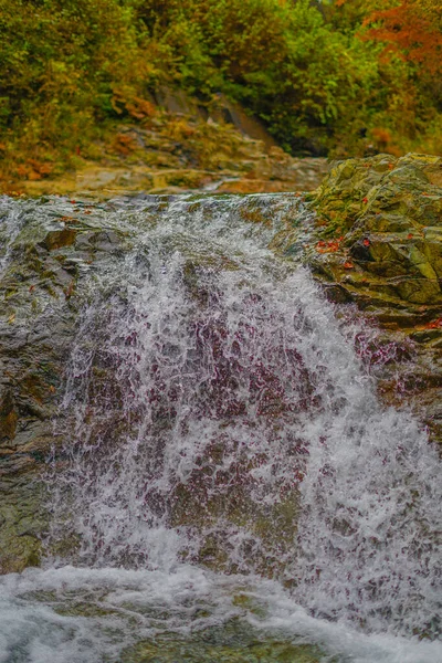 Čtyřicet Milionů Děr Podzimní Listí Umístění Střelby Prefektura Gunma — Stock fotografie