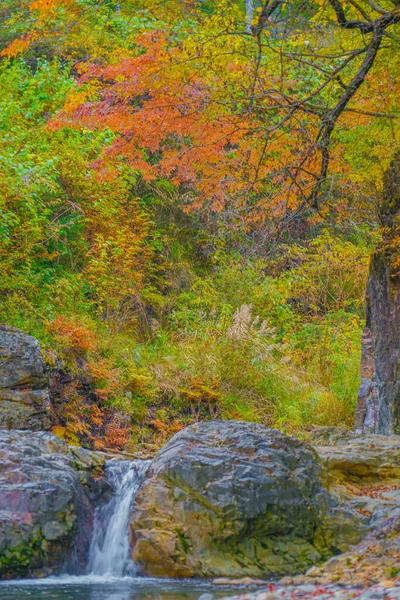 Forty Million Holes Autumn Leaves Shooting Location Gunma Prefecture — Stock Photo, Image