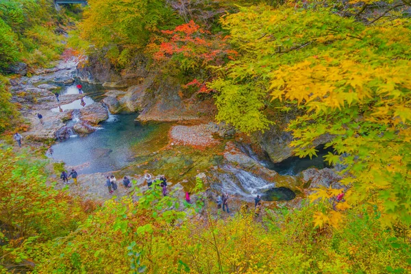 Forty Million Holes Autumn Leaves Shooting Location Gunma Prefecture — Stok fotoğraf