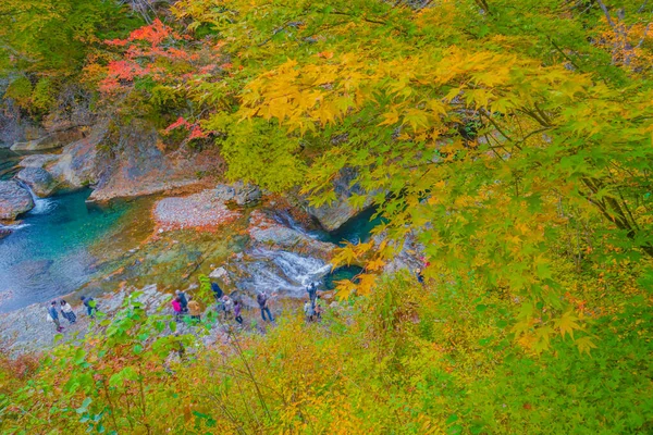 Forty Million Holes Autumn Leaves Shooting Location Gunma Prefecture — Zdjęcie stockowe