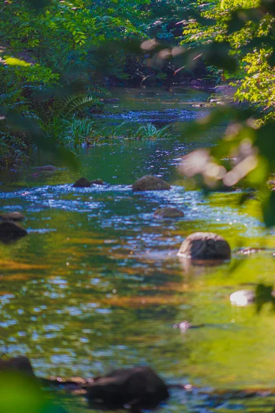 Origine Del Fiume Kanda Luogo Delle Riprese Mitaka City Tokyo — Foto Stock