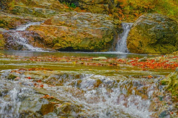 Forty Million Holes Autumn Leaves Shooting Location Gunma Prefecture — стокове фото