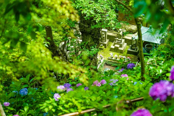 Jizo Och Hydrangea Fotografering Plats Kamakura City Kanagawa Län — Stockfoto