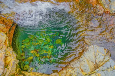 Kırk milyon delik ve sonbahar yaprakları. Atış yeri: Gunma Bölgesi