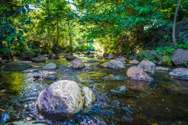 Kanda Nehri 'nin kökeni. Çekim yeri: Mitaka Şehri, Tokyo