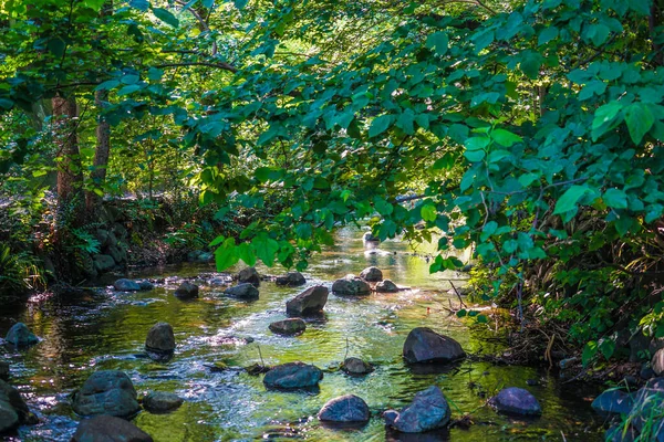Kanda Nehri 'nin kökeni. Çekim yeri: Mitaka Şehri, Tokyo