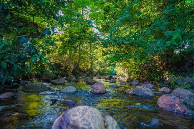 Kanda Nehri 'nin kökeni. Çekim yeri: Mitaka Şehri, Tokyo