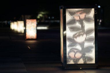 Çiçek desenli ışıklandırma. Çekim Konumu: Ota -ku, Tokyo