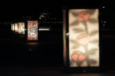 Çiçek desenli ışıklandırma. Çekim Konumu: Ota -ku, Tokyo