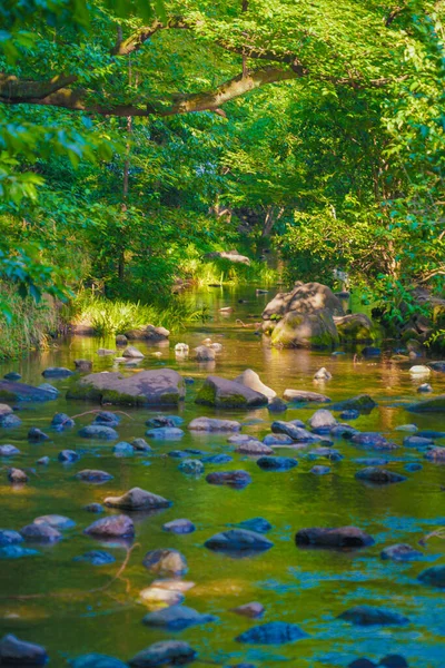 Origin Kanda River Shooting Location Mitaka City Tokyo — Zdjęcie stockowe