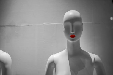 Mannequin with lipstick. Shooting Location: Tokyo metropolitan area