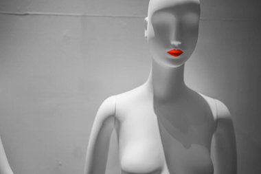 Rujlu manken. Çekim yeri: Tokyo Büyükşehir Bölgesi