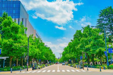 New Green (Yokohama Kannai) of Nippon Odori. Shooting Location: Naka -ku, Yokohama -shi
