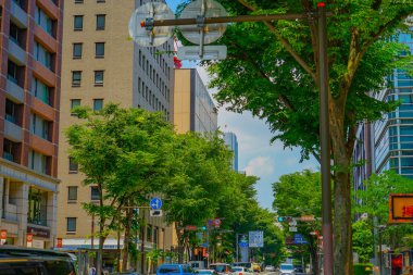 New Green (Yokohama Kannai) of Nippon Odori. Shooting Location: Naka -ku, Yokohama -shi