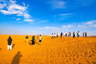 Arabia Desert (UAE Dubai Prince). Shooting Location: Dubai