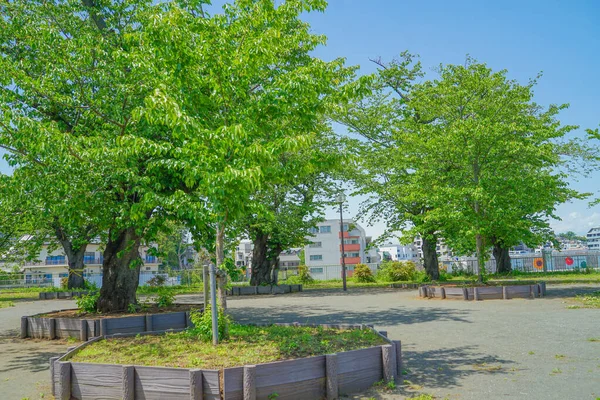 Scenery Kogaya Park Kanagawa Yokohama Shooting Location Kanagawa Yokohama — Stock Fotó