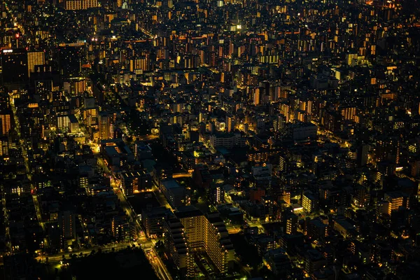 Tokyo Cityscape Photographed Tokyo Sky Tree Shooting Location Sumida Tokyo — Stok fotoğraf