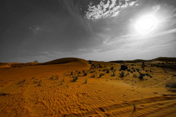 Arabia Desert Uae Dubai Prince Shooting Location Dubai —  Fotos de Stock