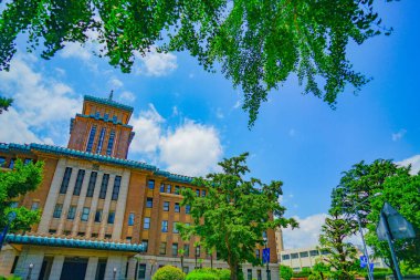 Kanagawa Bölge Ofisi ve taze yeşil. Çekim yeri: Naka -ku, Yokohama -shi