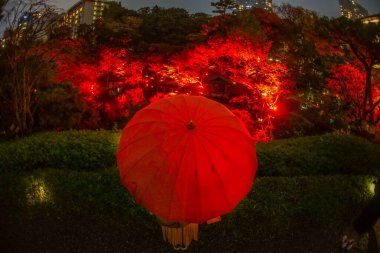 Kırmızı şemsiye ve sonbahar yaprakları. Çekim yeri: Minato -ku, Tokyo