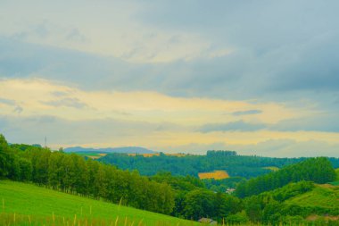 Furano 'da sade, Hokkaido. Çekim Konumu: Hokkaido Furano