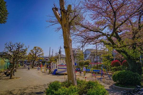 Kirschblüten Ota Tokio Drehort Ota Tokio — Stockfoto