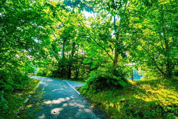 Summer Onuma Country Set Park Ubicación Del Disparo Hokkaido — Foto de Stock