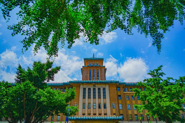 Kanagawa Prefectural Office Świeże Zielone Rozmieszczenie Naka Jokohama Shi — Zdjęcie stockowe