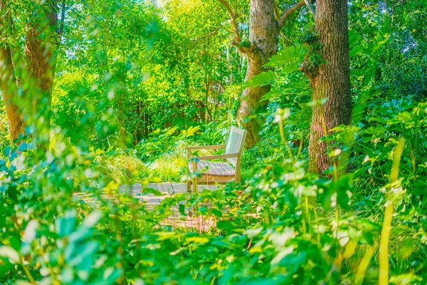 Panchina Nella Foresta Ubicazione Delle Riprese Nishi Yokohama — Foto Stock