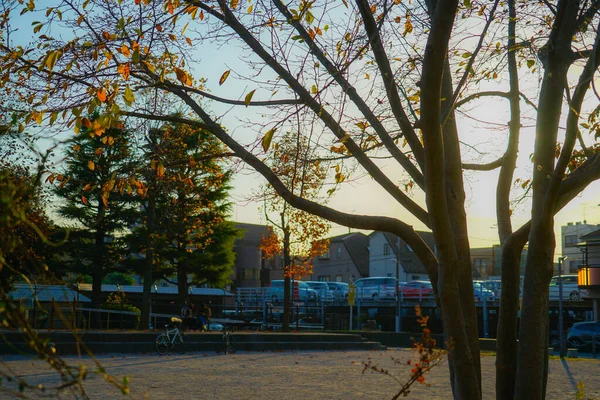 Parco Adachi Luogo Delle Riprese Adachi Tokyo — Foto Stock